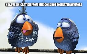 migratory birds | HEY, FREE MIGRATION FROM MEXICO IS NOT TOLERATED ANYMORE | image tagged in mexico,illegal immigration | made w/ Imgflip meme maker