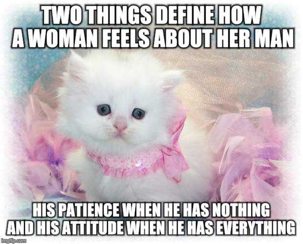 TWO THINGS DEFINE HOW A WOMAN FEELS ABOUT HER MAN; HIS PATIENCE WHEN HE HAS NOTHING AND HIS ATTITUDE WHEN HE HAS EVERYTHING | image tagged in true love | made w/ Imgflip meme maker