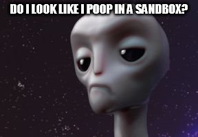DO I LOOK LIKE I POOP IN A SANDBOX? | made w/ Imgflip meme maker