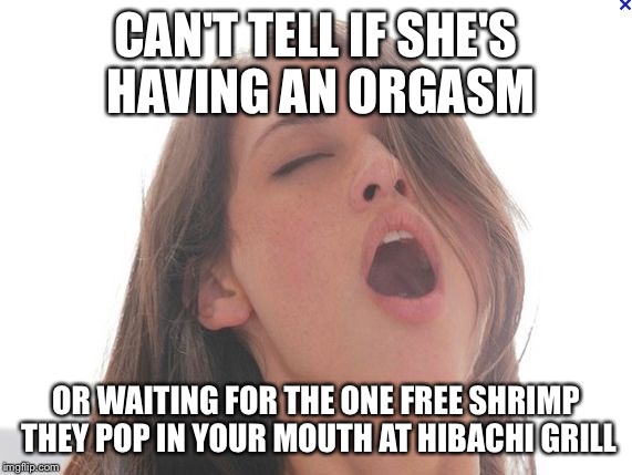 She will swallow for shrimp | CAN'T TELL IF SHE'S HAVING AN ORGASM; OR WAITING FOR THE ONE FREE SHRIMP THEY POP IN YOUR MOUTH AT HIBACHI GRILL | image tagged in orgasm face | made w/ Imgflip meme maker