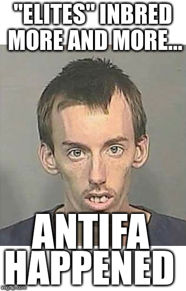 Inbreeding caused Antifa | "ELITES" INBRED MORE AND MORE... ANTIFA; HAPPENED | image tagged in elitist inbreds,antifa morons,commie lunatics,wasp bastards | made w/ Imgflip meme maker