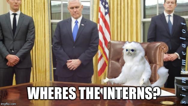 President Oliver | WHERES THE INTERNS? | image tagged in guardian cat in oval office,memes | made w/ Imgflip meme maker