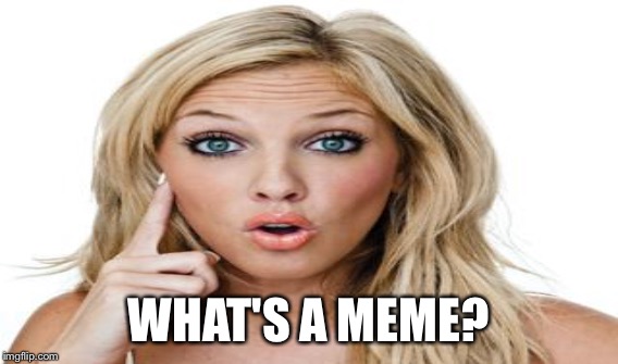 WHAT'S A MEME? | made w/ Imgflip meme maker
