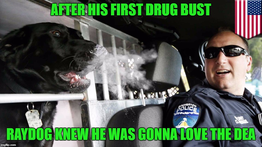 AFTER HIS FIRST DRUG BUST RAYDOG KNEW HE WAS GONNA LOVE THE DEA | made w/ Imgflip meme maker
