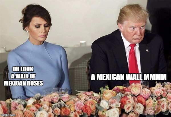 Poor Melania | A MEXICAN WALL MMMM; OH LOOK A WALL OF MEXICAN ROSES | image tagged in poor melania | made w/ Imgflip meme maker