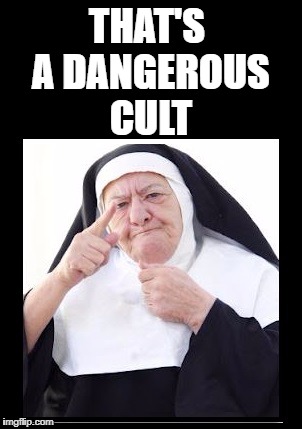 nun | THAT'S A DANGEROUS CULT | image tagged in nun | made w/ Imgflip meme maker