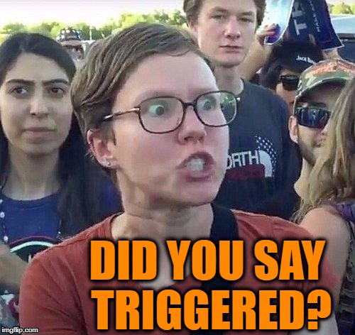 foggy | DID YOU SAY TRIGGERED? | image tagged in triggered feminist | made w/ Imgflip meme maker
