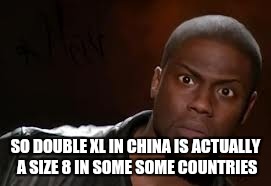 Kevin Hart Meme | SO DOUBLE XL IN CHINA IS ACTUALLY A SIZE 8 IN SOME SOME COUNTRIES | image tagged in memes,kevin hart the hell | made w/ Imgflip meme maker