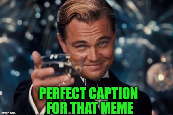 Leonardo Dicaprio Cheers Meme | PERFECT CAPTION FOR THAT MEME | image tagged in memes,leonardo dicaprio cheers | made w/ Imgflip meme maker