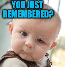 Skeptical Baby Meme | YOU JUST REMEMBERED? | image tagged in memes,skeptical baby | made w/ Imgflip meme maker