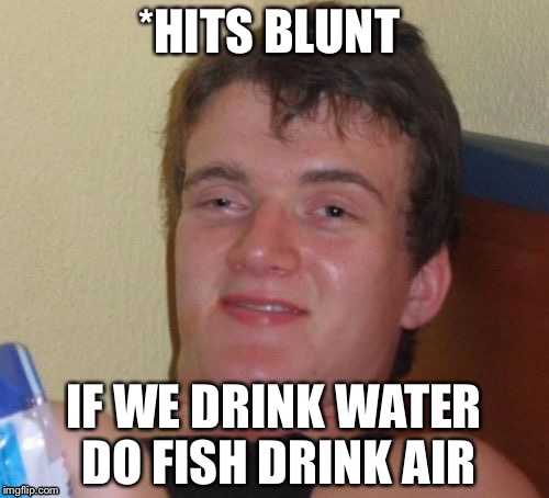10 Guy | *HITS BLUNT; IF WE DRINK WATER DO FISH DRINK AIR | image tagged in memes,10 guy | made w/ Imgflip meme maker