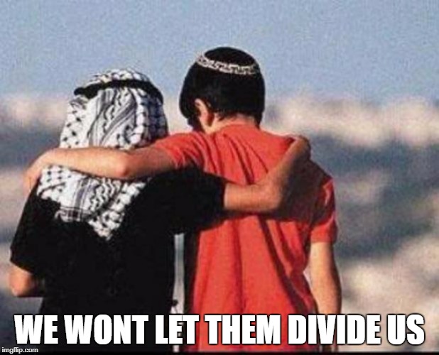 peace | WE WONT LET THEM DIVIDE US | image tagged in peace | made w/ Imgflip meme maker