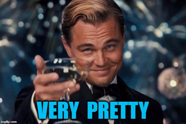 Leonardo Dicaprio Cheers Meme | VERY  PRETTY | image tagged in memes,leonardo dicaprio cheers | made w/ Imgflip meme maker