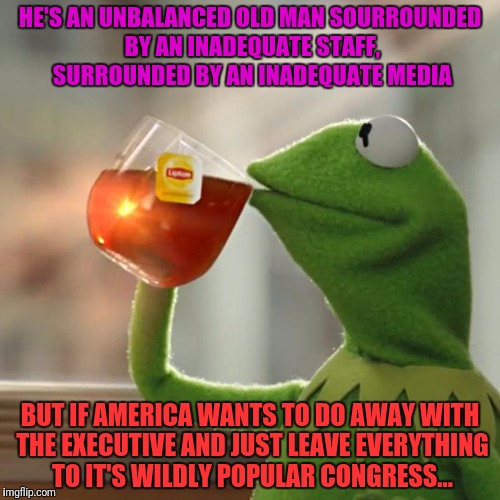 But That's None Of My Business Meme | HE'S AN UNBALANCED OLD MAN SOURROUNDED BY AN INADEQUATE STAFF, SURROUNDED BY AN INADEQUATE MEDIA BUT IF AMERICA WANTS TO DO AWAY WITH THE EX | image tagged in memes,but thats none of my business,kermit the frog | made w/ Imgflip meme maker