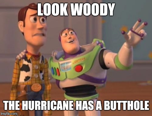 X, X Everywhere Meme | LOOK WOODY THE HURRICANE HAS A BUTTHOLE | image tagged in memes,x x everywhere | made w/ Imgflip meme maker