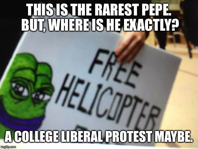 I honestly don't understand this sign. | THIS IS THE RAREST PEPE. BUT, WHERE IS HE EXACTLY? A COLLEGE LIBERAL PROTEST MAYBE. | image tagged in rare pepe,helicopter | made w/ Imgflip meme maker
