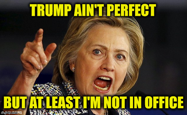 TRUMP AIN'T PERFECT BUT AT LEAST I'M NOT IN OFFICE | made w/ Imgflip meme maker