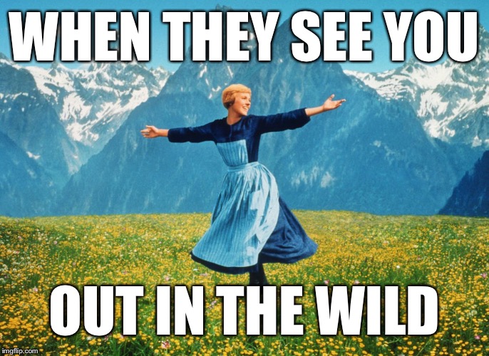 sound of music | WHEN THEY SEE YOU; OUT IN THE WILD | image tagged in sound of music | made w/ Imgflip meme maker