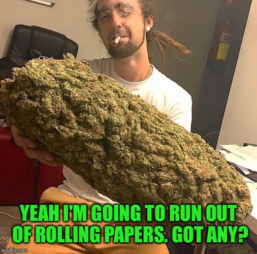 YEAH I'M GOING TO RUN OUT OF ROLLING PAPERS. GOT ANY? | made w/ Imgflip meme maker