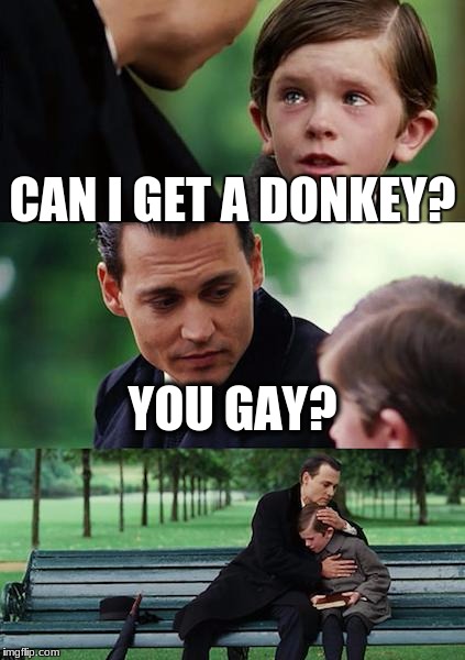 Finding Neverland Meme | CAN I GET A DONKEY? YOU GAY? | image tagged in memes,finding neverland | made w/ Imgflip meme maker