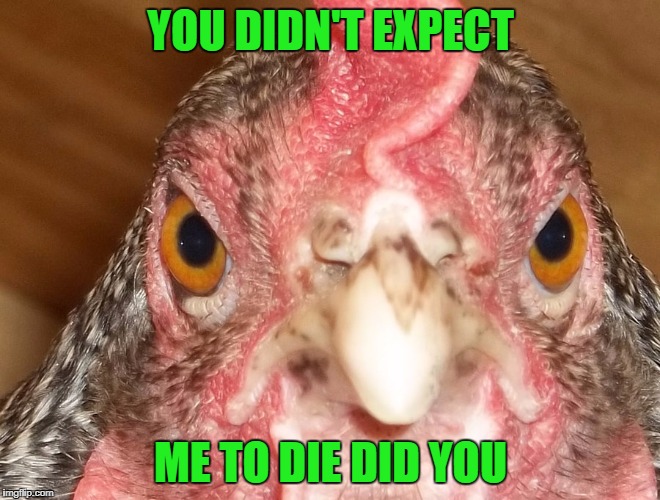 YOU DIDN'T EXPECT ME TO DIE DID YOU | made w/ Imgflip meme maker