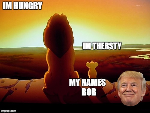 Lion King | IM HUNGRY; IM THERSTY; MY NAMES 
BOB | image tagged in memes,lion king | made w/ Imgflip meme maker