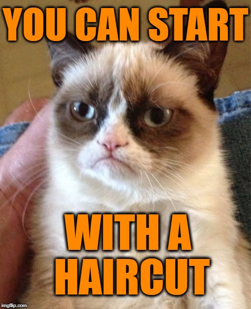 Grumpy Cat Meme | YOU CAN START WITH A HAIRCUT | image tagged in memes,grumpy cat | made w/ Imgflip meme maker
