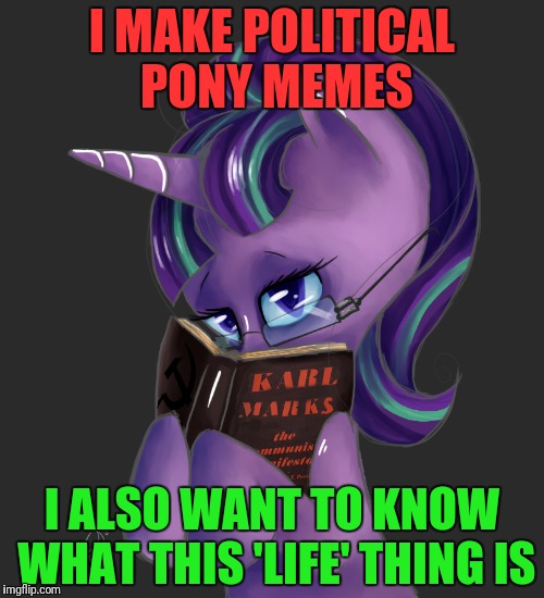 I MAKE POLITICAL PONY MEMES I ALSO WANT TO KNOW WHAT THIS 'LIFE' THING IS | made w/ Imgflip meme maker