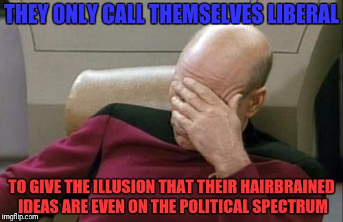 Captain Picard Facepalm Meme | THEY ONLY CALL THEMSELVES LIBERAL TO GIVE THE ILLUSION THAT THEIR HAIRBRAINED IDEAS ARE EVEN ON THE POLITICAL SPECTRUM | image tagged in memes,captain picard facepalm | made w/ Imgflip meme maker