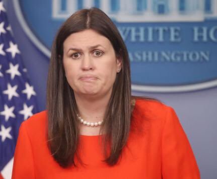 High Quality Sarah Huckabee Sanders Blank Meme Template