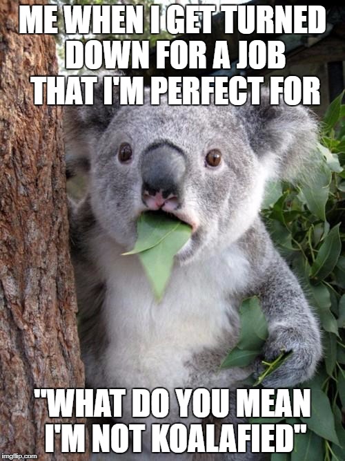 Surprised Koala Meme | ME WHEN I GET TURNED DOWN FOR A JOB THAT I'M PERFECT FOR; "WHAT DO YOU MEAN I'M NOT KOALAFIED" | image tagged in memes,surprised koala | made w/ Imgflip meme maker