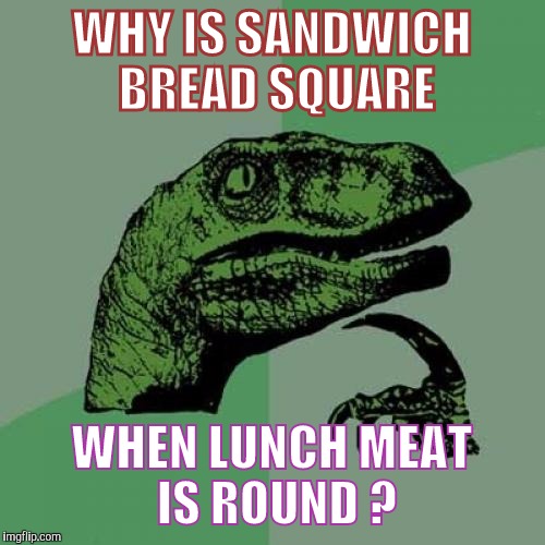 Philosoraptor | WHY IS SANDWICH BREAD SQUARE; WHEN LUNCH MEAT IS ROUND ? | image tagged in memes,philosoraptor | made w/ Imgflip meme maker