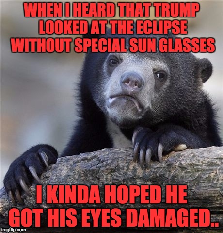 Confession Bear Meme | WHEN I HEARD THAT TRUMP LOOKED AT THE ECLIPSE WITHOUT SPECIAL SUN GLASSES I KINDA HOPED HE GOT HIS EYES DAMAGED.. | image tagged in memes,confession bear | made w/ Imgflip meme maker