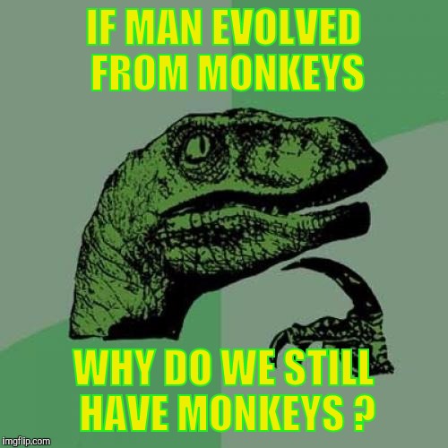 Philosoraptor Meme | IF MAN EVOLVED FROM MONKEYS; WHY DO WE STILL HAVE MONKEYS ? | image tagged in memes,philosoraptor | made w/ Imgflip meme maker