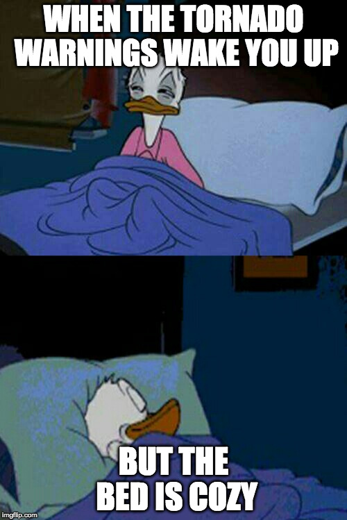 Me. All weekend. | WHEN THE TORNADO WARNINGS WAKE YOU UP; BUT THE BED IS COZY | image tagged in sleepy donald duck in bed,iwanttobebacon,iwanttobebaconcom,hurricane harvey,tornado | made w/ Imgflip meme maker