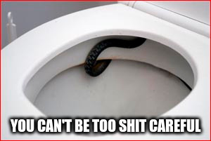 YOU CAN'T BE TOO SHIT CAREFUL | made w/ Imgflip meme maker