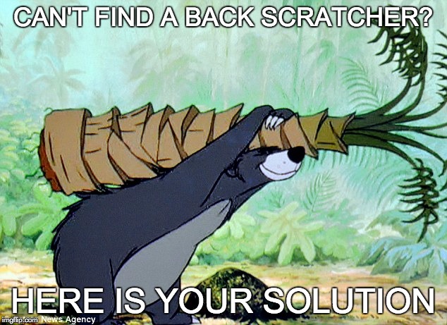 CAN'T FIND A BACK SCRATCHER? HERE IS YOUR SOLUTION | image tagged in and everybody loses their minds | made w/ Imgflip meme maker