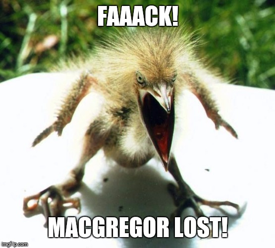 Unpleasant Bird | FAAACK! MACGREGOR LOST! | image tagged in unpleasant bird | made w/ Imgflip meme maker