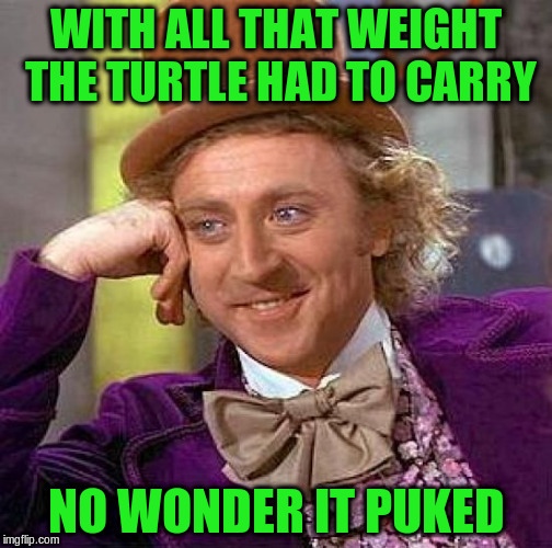 Creepy Condescending Wonka Meme | WITH ALL THAT WEIGHT THE TURTLE HAD TO CARRY NO WONDER IT PUKED | image tagged in memes,creepy condescending wonka | made w/ Imgflip meme maker