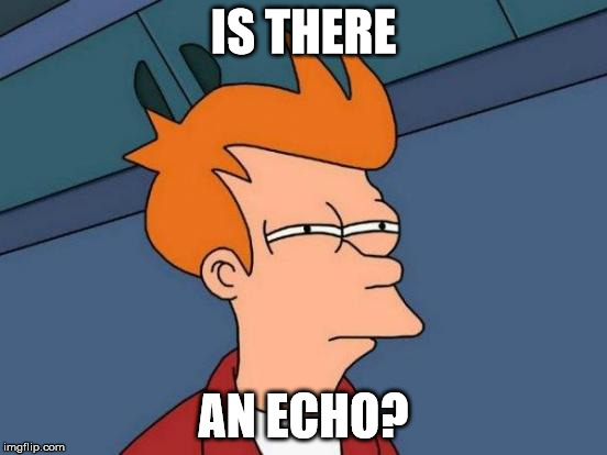 Futurama Fry Meme | IS THERE AN ECHO? | image tagged in memes,futurama fry | made w/ Imgflip meme maker