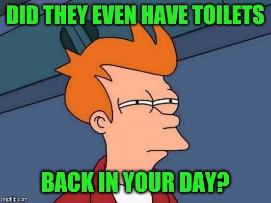 Futurama Fry Meme | DID THEY EVEN HAVE TOILETS BACK IN YOUR DAY? | image tagged in memes,futurama fry | made w/ Imgflip meme maker