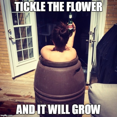 The Tickle | TICKLE THE FLOWER; AND IT WILL GROW | image tagged in flower,lady,sexy,girl,barrel,tickle | made w/ Imgflip meme maker