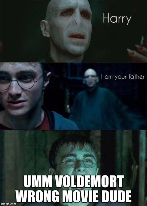 Harry potter | UMM VOLDEMORT WRONG MOVIE DUDE | image tagged in harry potter | made w/ Imgflip meme maker