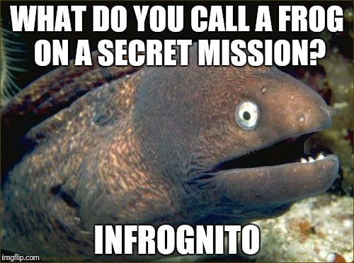 Bad Joke Eel | WHAT DO YOU CALL A FROG ON A SECRET MISSION? INFROGNITO | image tagged in memes,bad joke eel | made w/ Imgflip meme maker