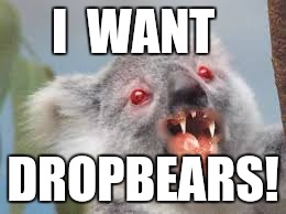 Drop bears are real | I  WANT DROPBEARS! | image tagged in drop bears are real | made w/ Imgflip meme maker