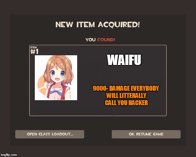You found a WAIFU! | WAIFU; 9000- DAMAGE EVERYBODY WILL LITTERALLY CALL YOU HACKER | image tagged in you got tf2 shit | made w/ Imgflip meme maker