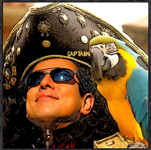 Pirate Captain | image tagged in jack sparrow pirate,pirates of the carribean,pirate with parrot,ship pirate | made w/ Imgflip meme maker