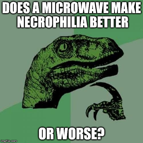 Philosoraptor | DOES A MICROWAVE MAKE NECROPHILIA BETTER; OR WORSE? | image tagged in memes,philosoraptor | made w/ Imgflip meme maker