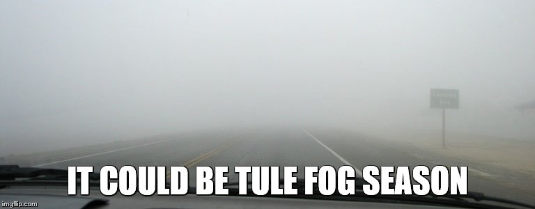 IT COULD BE TULE FOG SEASON | made w/ Imgflip meme maker