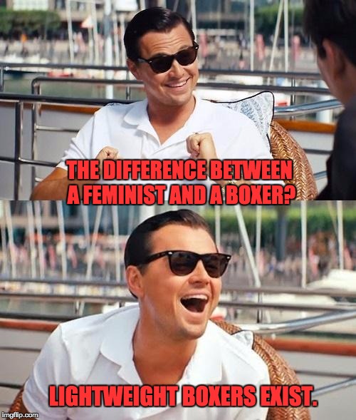 Leonardo Dicaprio Wolf Of Wall Street Meme | THE DIFFERENCE BETWEEN A FEMINIST AND A BOXER? LIGHTWEIGHT BOXERS EXIST. | image tagged in memes,leonardo dicaprio wolf of wall street | made w/ Imgflip meme maker